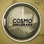 cosmo sheldrake